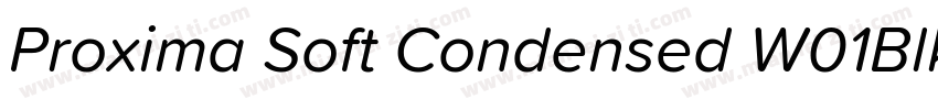 Proxima Soft Condensed W01BlkIt字体转换